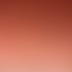 Meet your Posher, Lilly